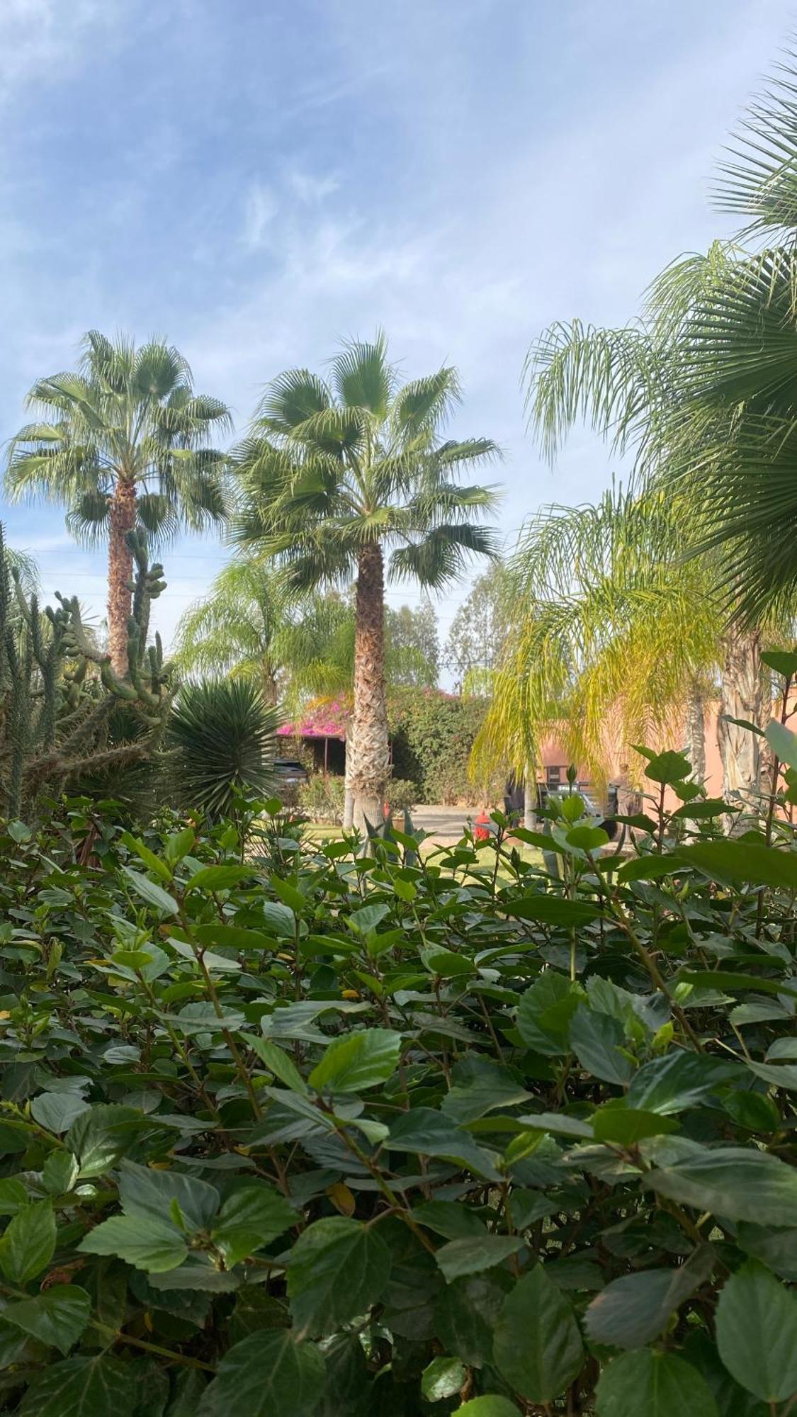 Hotel Le Rubis Oriental Azib Oulad Lâdem Exterior foto